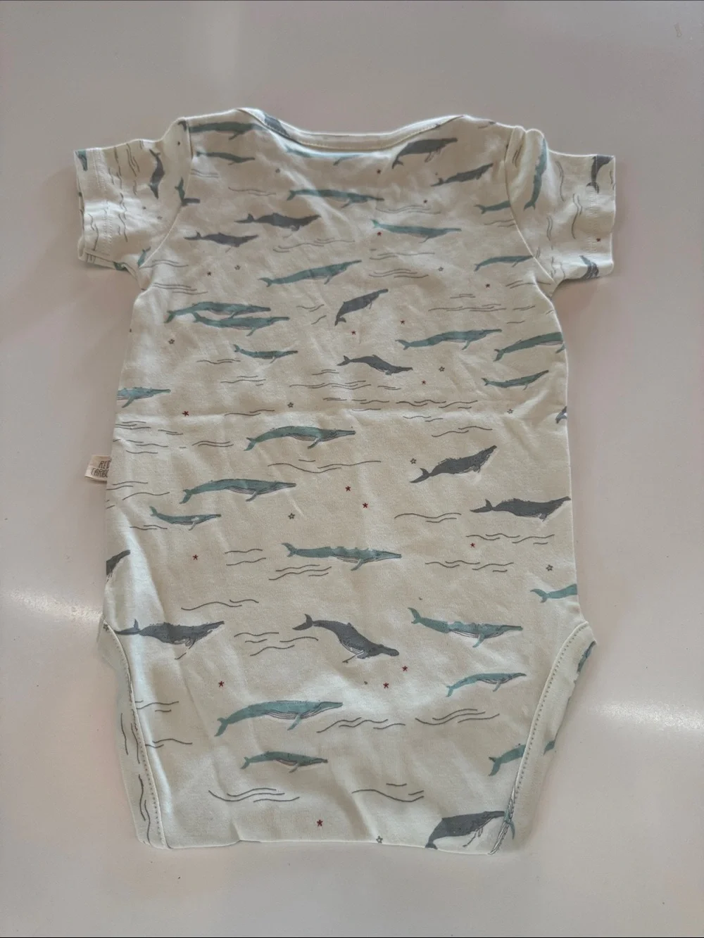 Whale Print Baby Bodysuit in Light Aqua by new without tag